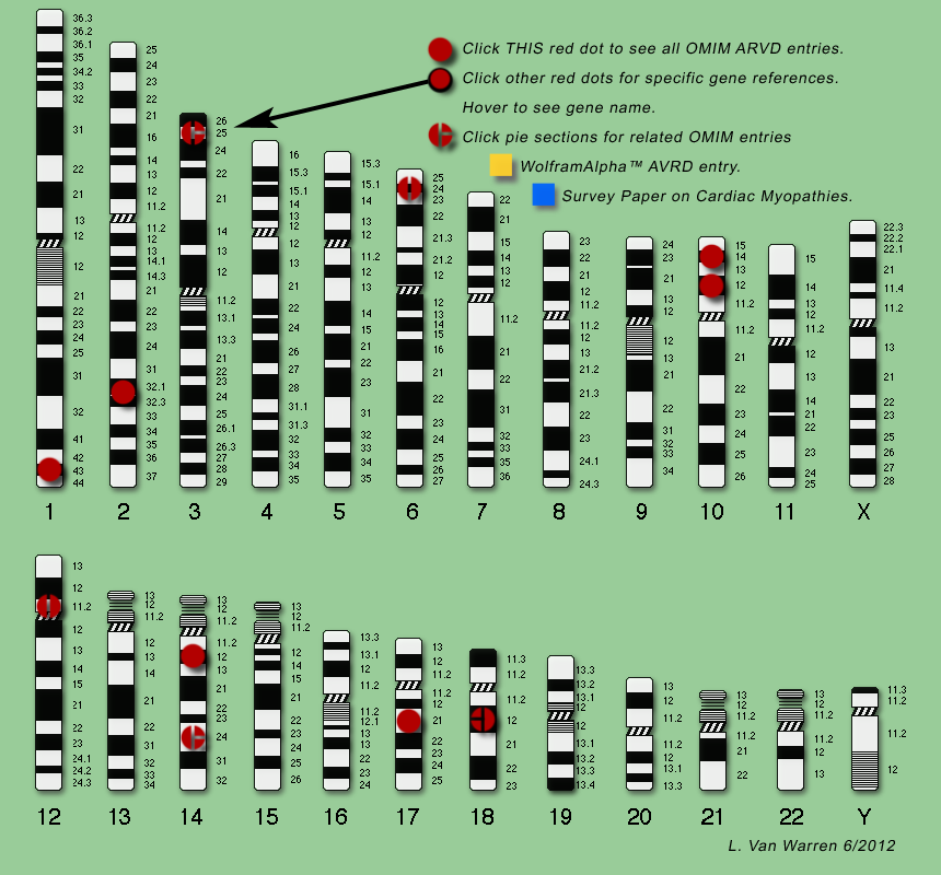 genomic ideogram of ARVD