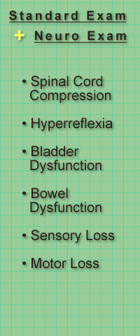 list of items to cover in a physical exam
