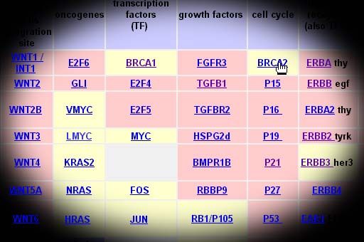 Table of Cancer Genes